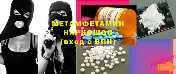 соль ск Ельня