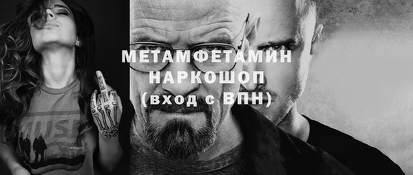 соль ск Ельня
