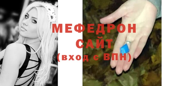 соль ск Ельня