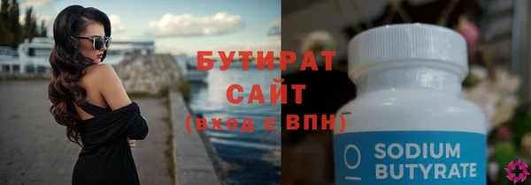 соль ск Ельня