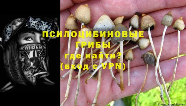 каннабис Дмитровск