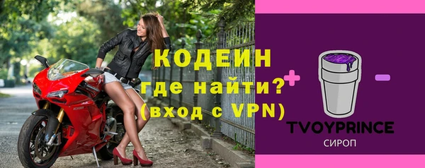соль ск Ельня