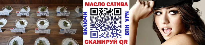 закладка  Звенигово  ТГК концентрат 