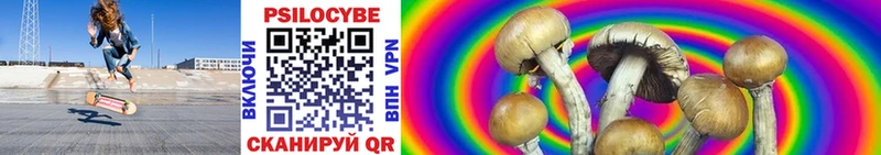 Псилоцибиновые грибы прущие грибы  наркотики  мега   Звенигово 